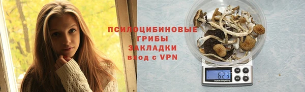 спайс Белокуриха