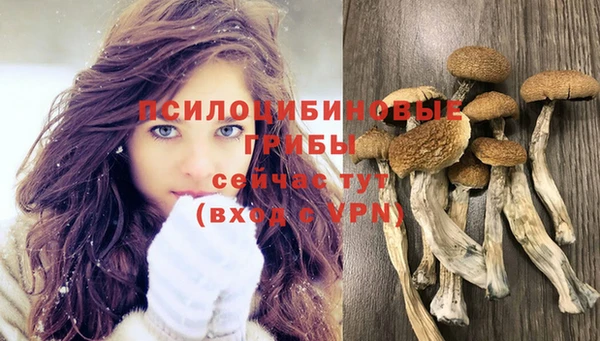 спайс Белокуриха